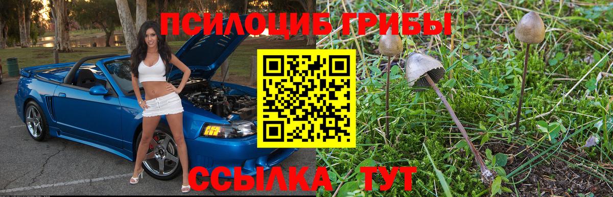 Псилоцибиновые грибы Psilocybe  Вход с VPN  Галлюциногенные грибы прущие грибы  Волоколамск 