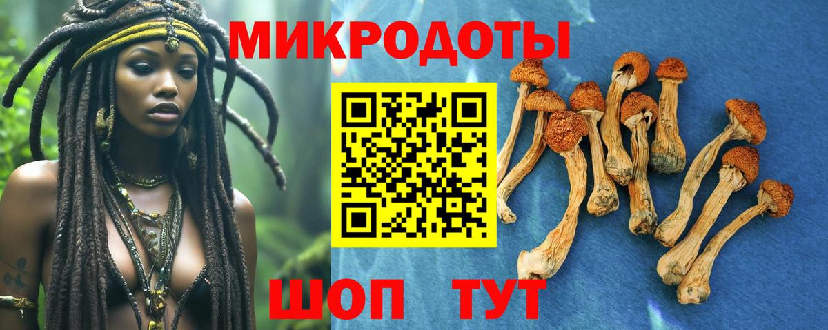 Псилоцибиновые грибы Magic Shrooms Волоколамск